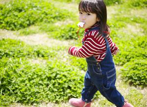 デジタルアート東京はイラストの専門学校です